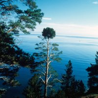 Der Hexenbesen, zwischen dem letzten Lager und Buguldejka