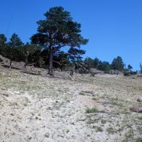 Die Buhta Peščanaja (Sandbucht)